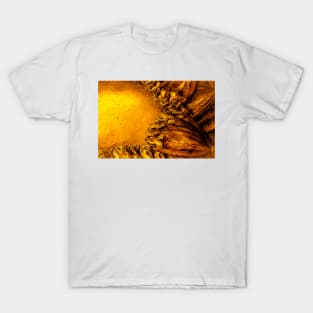 Golden salted fish in a wreath semicircle. T-Shirt